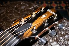 Taylor 317e V-Class / 2018_4