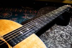 Taylor 317e V-Class / 2018_5