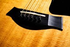 Taylor 317e V-Class / 2018_7