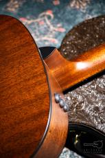 Taylor 317e V-Class / 2018_9