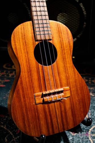 Kamaka HF-3