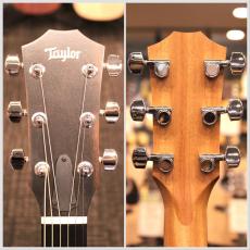 Taylor 214ce Walnut #2202185359【実物写真】【福岡店在庫】【48回無金利】【送料当社負担】_8
