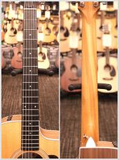 Taylor 214ce Walnut #2202185359【実物写真】【福岡店在庫】【48回無金利】【送料当社負担】_9