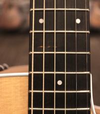 Taylor 214ce Walnut #2202185359【実物写真】【福岡店在庫】【48回無金利】【送料当社負担】_10