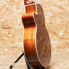 Takamine PTU131KC N_5