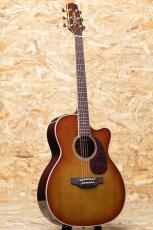 Takamine DMP761C TB_3