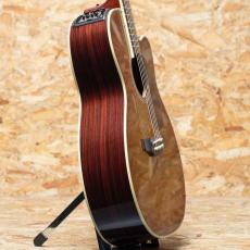 Takamine DMP761C TB_4