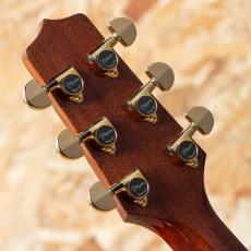 Takamine DMP761C TB_9