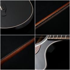 Taylor Builder's Edition 814ce Black Top 【現物動画あり】【48回無金利】【買取・下取強化中!】_8