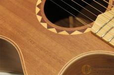 Cole Clark AN2EC-BLBL 【返品OK】[UL805]【神戸店在庫】_10