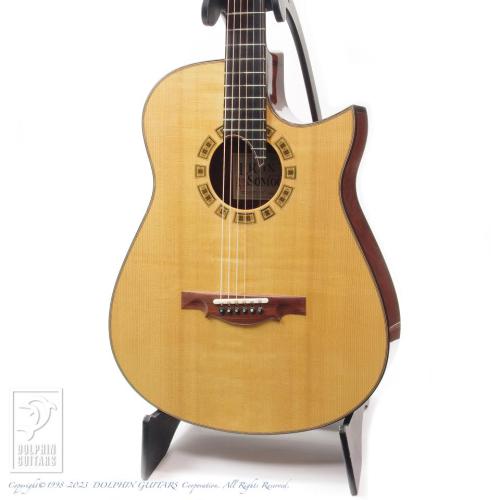 Somogyi Modified Dreadnought Cutaway