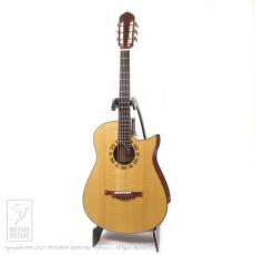 Somogyi Modified Dreadnought Cutaway_2