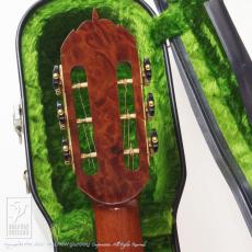 Somogyi Modified Dreadnought Cutaway_7