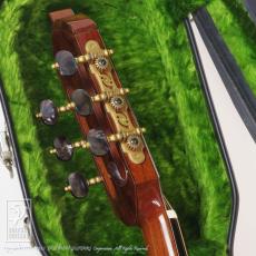 Somogyi Modified Dreadnought Cutaway_8