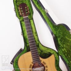Somogyi Modified Dreadnought Cutaway_9