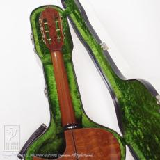 Somogyi Modified Dreadnought Cutaway_10