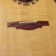 Somogyi Modified Dreadnought Cutaway_12