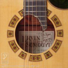 Somogyi Modified Dreadnought Cutaway_13