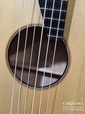 Gary Southwell ゲイリー・サウスウェル 1994年製 シュタウファー 19世紀ギター 【日本総本店2F 在庫品】_3