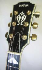 YAMAHA CJ-52 Custom / White pearl oyster inlay and Body Trim・Solid Spruce Top・Solid Maple Side and Back・Ebony fingerboard and Bridge・White Double Pick-guard【With Original Hard Case】1981年製_3