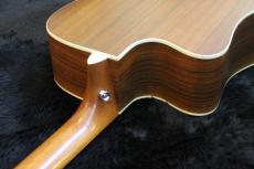 Martin DCPA4 ROSEWOOD 2013_10