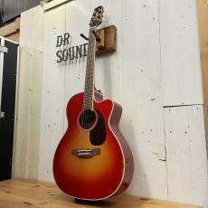 Takamine FPT752C CYS #63070297【無金利分割OK】【Dr.Sound】_2