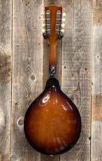 Gibson A-40 Ca.1963_6