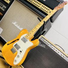 Fender Telecaster Thinline 1972_2