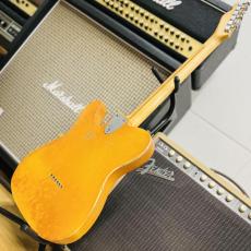 Fender Telecaster Thinline 1972_6