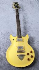 Ibanez 【特選中古セール!】 AR 100 -PolarWhite- 【1981'USED】_2