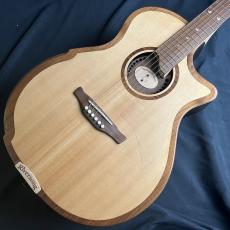 Riversong Guitars Riversong Guitars　2P GA G2