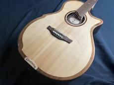 Riversong Guitars Riversong Guitars　2P GA G2_3