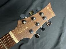 Riversong Guitars Riversong Guitars　2P GA G2_6