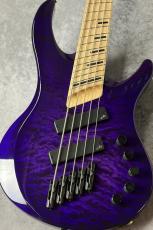 Acacia Guitars Atlas 5Strings - Purple Dip -【4.27kg】