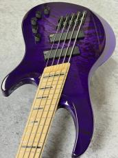 Acacia Guitars Atlas 5Strings - Purple Dip -【4.27kg】_3