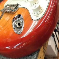 Fender American Standard Stratocaster Ash_5