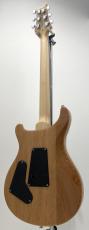 Paul Reed Smith [PRS] SE Custom 24 / Turquoise_5