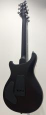 Paul Reed Smith [PRS] SE Custom 24 / Charcoal_6