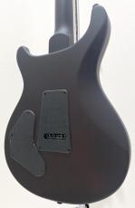 Paul Reed Smith [PRS] SE DGT Laurel Burl Limited Edition(David Grissom Signature Model) / McCarty Tobacco Burst_6