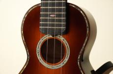 Martin CTM Style 5 Premium Adirondack Spruce / 2014年製【USED】_3