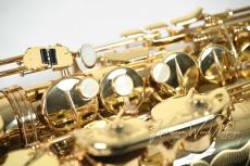 H. Selmer SA80Ⅱ GP-TONE s/n495***_3