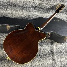 Gretsch 7670 Chet Atkins Country Gentleman 1979年製_6