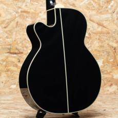 Takamine FPT561C BL_2