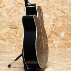 Takamine FPT561C BL_5