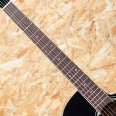 Takamine FPT561C BL_6
