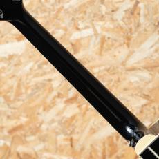 Takamine FPT561C BL_7