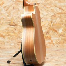 Maton Performer 2020's_5