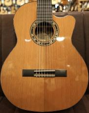 Orpheus Valley Guitars F65CW-7C 7弦 エレガット シダー単板