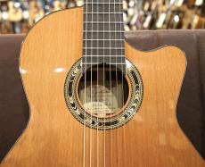 Orpheus Valley Guitars F65CW-7C 7弦 エレガット シダー単板_4