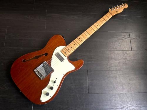 Epiphone Mexico   Telecaster Thinline　LINDY FRALIN　PU